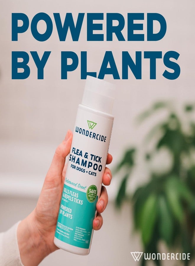 وندر سايد وندرسايد - شامبو للبراغيث والقراد للكلاب والقطط - علاج للبراغيث والقراد بزيوت عطرية طبيعية - للحيوانات الأليفة التي تزيد أعمارها عن 4 أشهر - مُصنّع من النباتات - خشب الأرز - 12 أونصة سائلة - Image 3